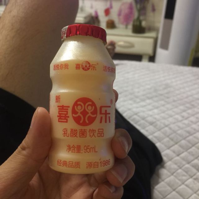 喜乐五联包发酵型乳酸菌原味牛奶儿童酸奶饮品95ml20瓶