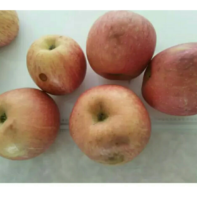 > 【果郡王】山东烟台红富士苹果5斤红富士苹果 新鲜水果(单果75-85mm