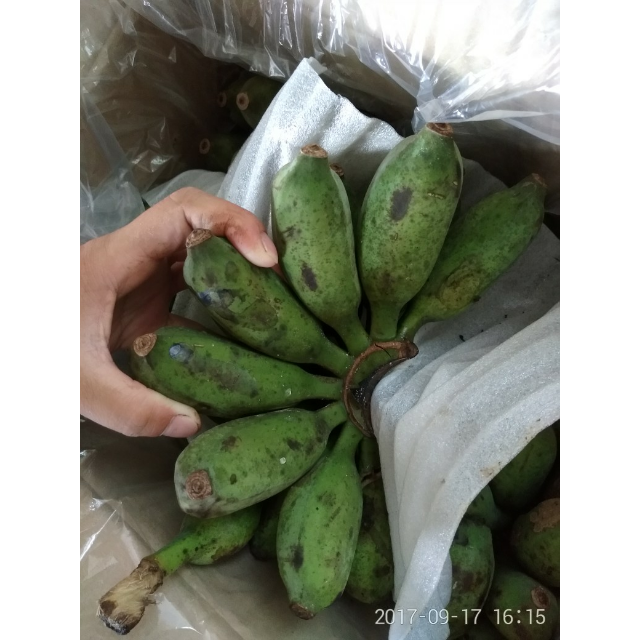 > 七果果 小米香蕉8斤 小米蕉 新鲜水果 产地直发qq商品评价 > 有没有
