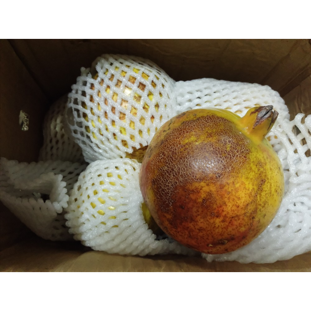 1元】米又 新鲜石榴 薄皮多汁 云南 石榴 4斤装商品评价 最大的一个