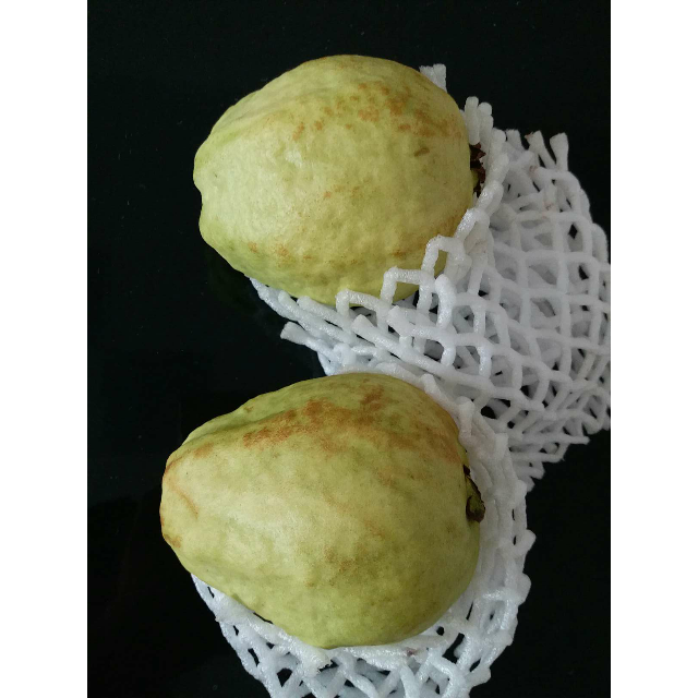 > 【坏果包赔】新鲜水果台湾珍珠芭乐 番石榴5斤a级(8-12个)商品评价