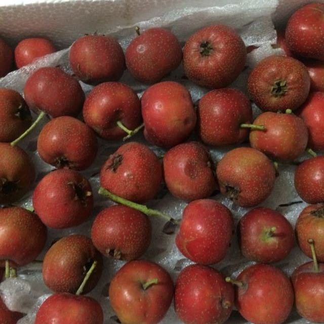 > 【山西运城】山楂 1kg 山西闻喜特产 新鲜 水果商品评价 > 跟新鲜
