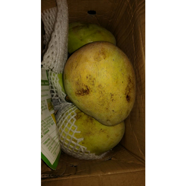 【中华特色馆】安岳馆 凯特大芒果8斤装商品评价 这次买的芒果*