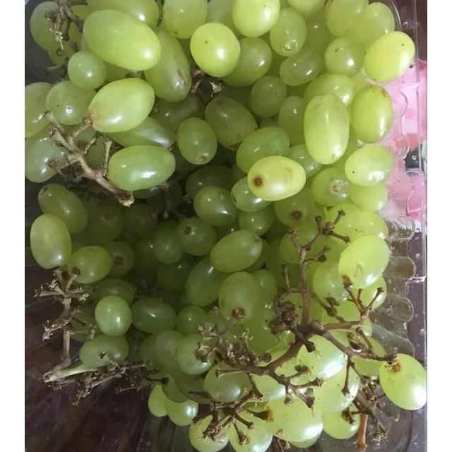 新疆无核白葡萄1kg 新鲜水果 国产商品评价 > 第一次买掉粒烂的一半