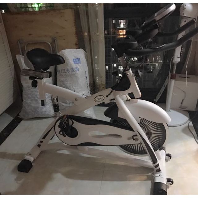 伊吉康 骑士5号 动感单车 健身车 健身自行车 家用运动健身器材 骑士5