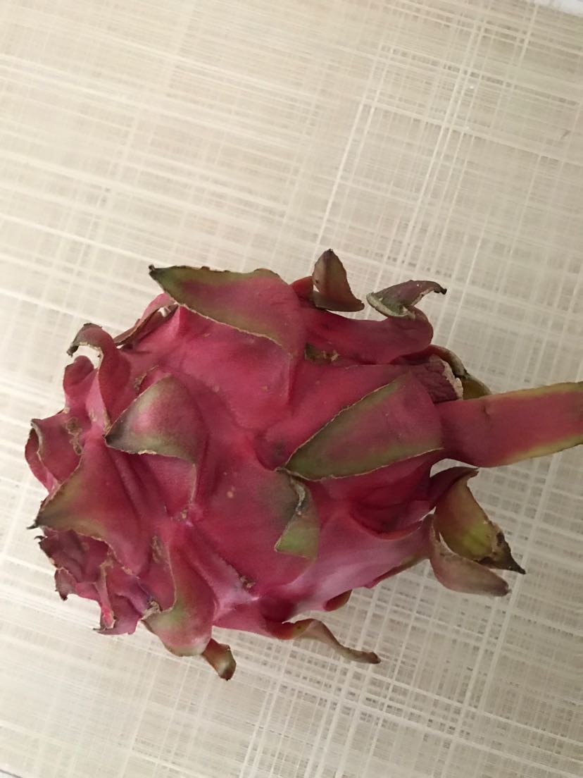 水果红心火龙果