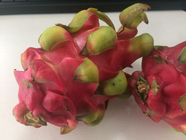【苏宁生鲜】越南红心火龙果2个(大果)410g以上/个晒单图
