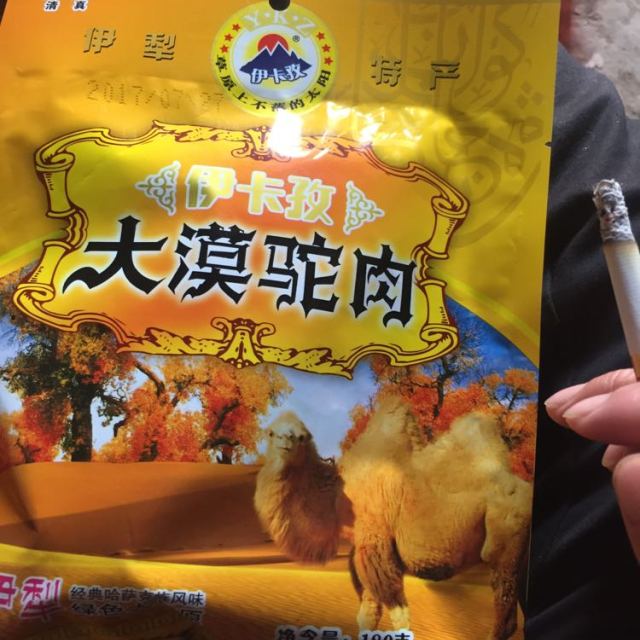 中华特色伊宁县馆伊卡孜大漠驼肉180g食品哈萨克风味新疆伊犁特产肉