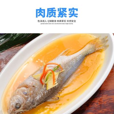蟹灵阁 清蒸拉菲黄鱼每条300g-400g/袋 *2袋 冷冻产品 黄花鱼