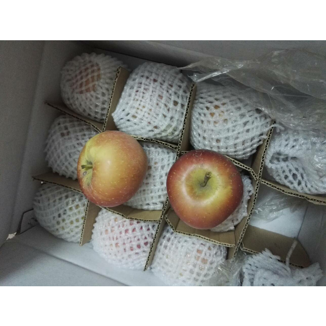 > 【中华特色】运城馆 重返自然 青苹果8.