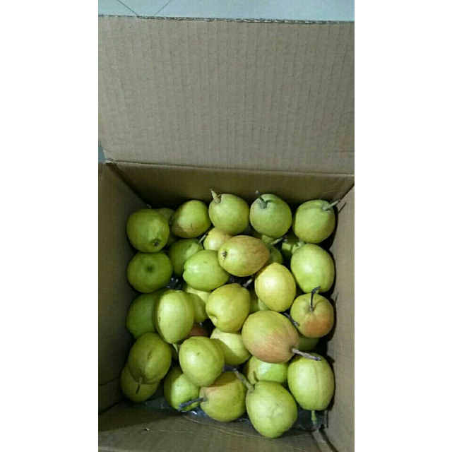 【苏宁生鲜】新疆库尔勒香梨4kg100g以上/个商品评价 买了一箱给