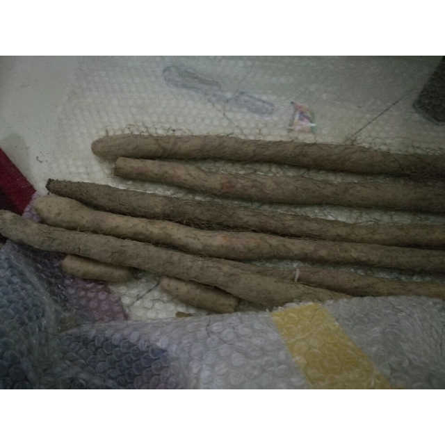 沙土 新鲜怀淮山药 净重2500g商品评价 > 一共八根,挺新鲜的