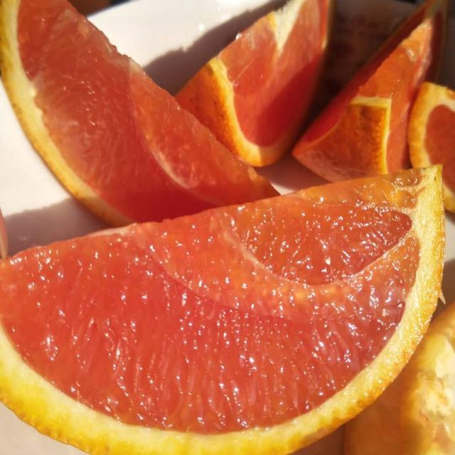 湖北秭归中华红血橙 60-65mm 5斤 脐橙 橙子坏果包赔 新鲜水果 苏宁