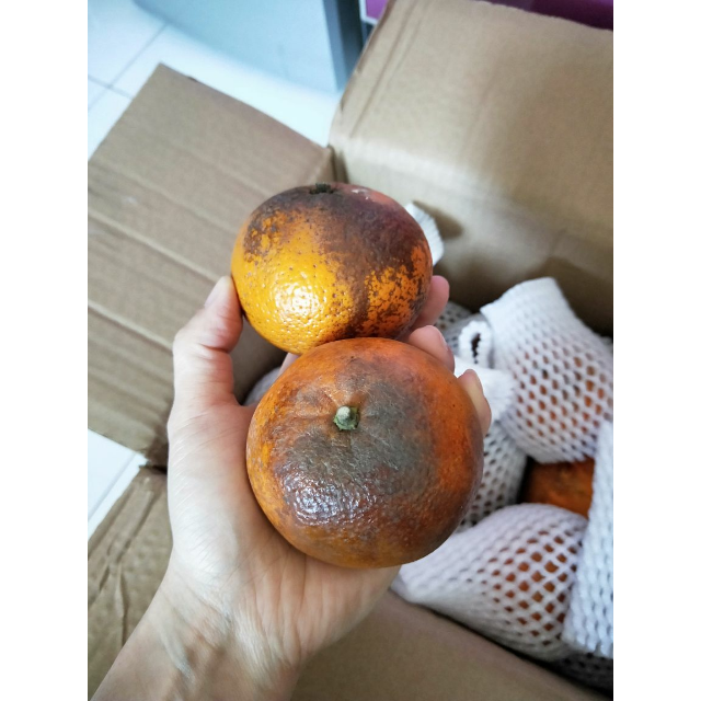 第二件减10元沃柑花皮版丑橘子2000g箱装新鲜水果沃柑丑橘子脏皮柑非
