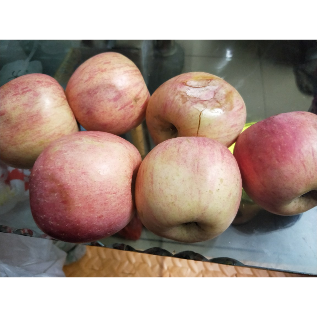 > 烟台红富士 80mm以上 5斤装 11-12个 新鲜水果 烟台苹果 新鲜水果