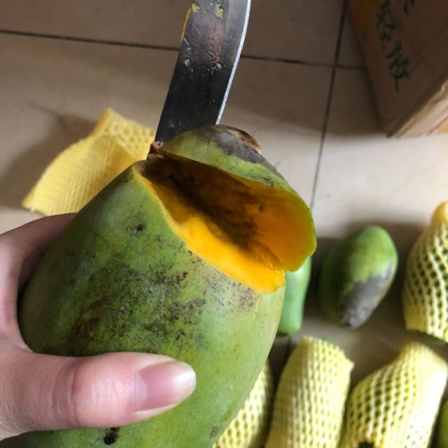 【中华特色】沾化馆 果园汇 青芒 玉芒 新鲜水果 新鲜