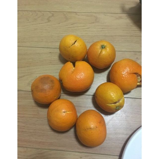 5斤精品果新鲜水果橙子 红肉脐橙中华红脐橙单果果径60-80mm