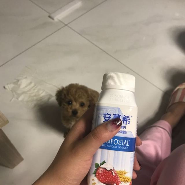 伊利安慕希草莓燕麦200g*10商品评价 好