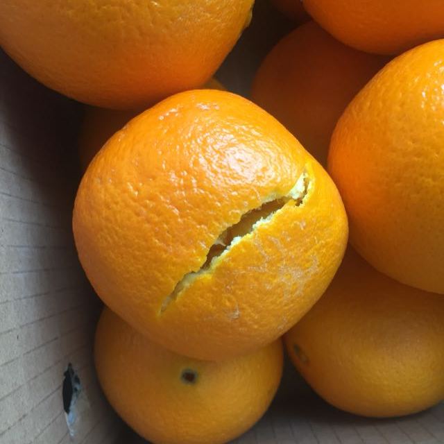 进口橙子 新鲜水果 柑橘商品评价 > 橙子有一个坏了,是野