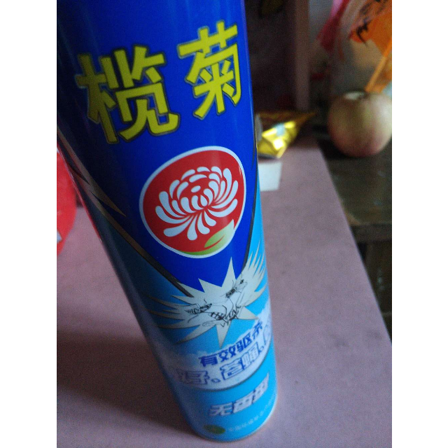 榄菊 杀虫剂无香型气雾剂600ml 跳蚤蟑螂药驱蚊驱虫防蚊神器除虫剂