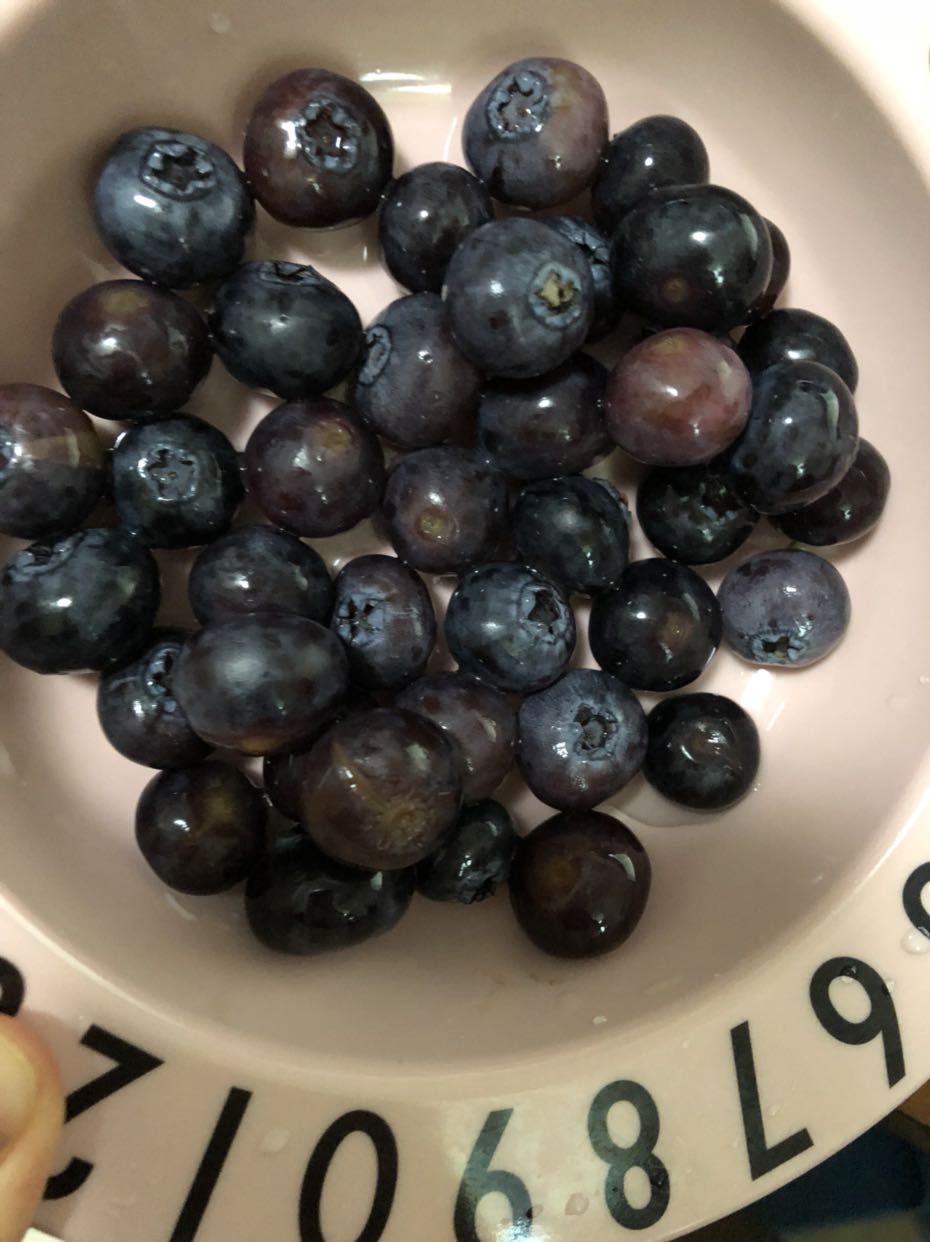 中国蓝莓