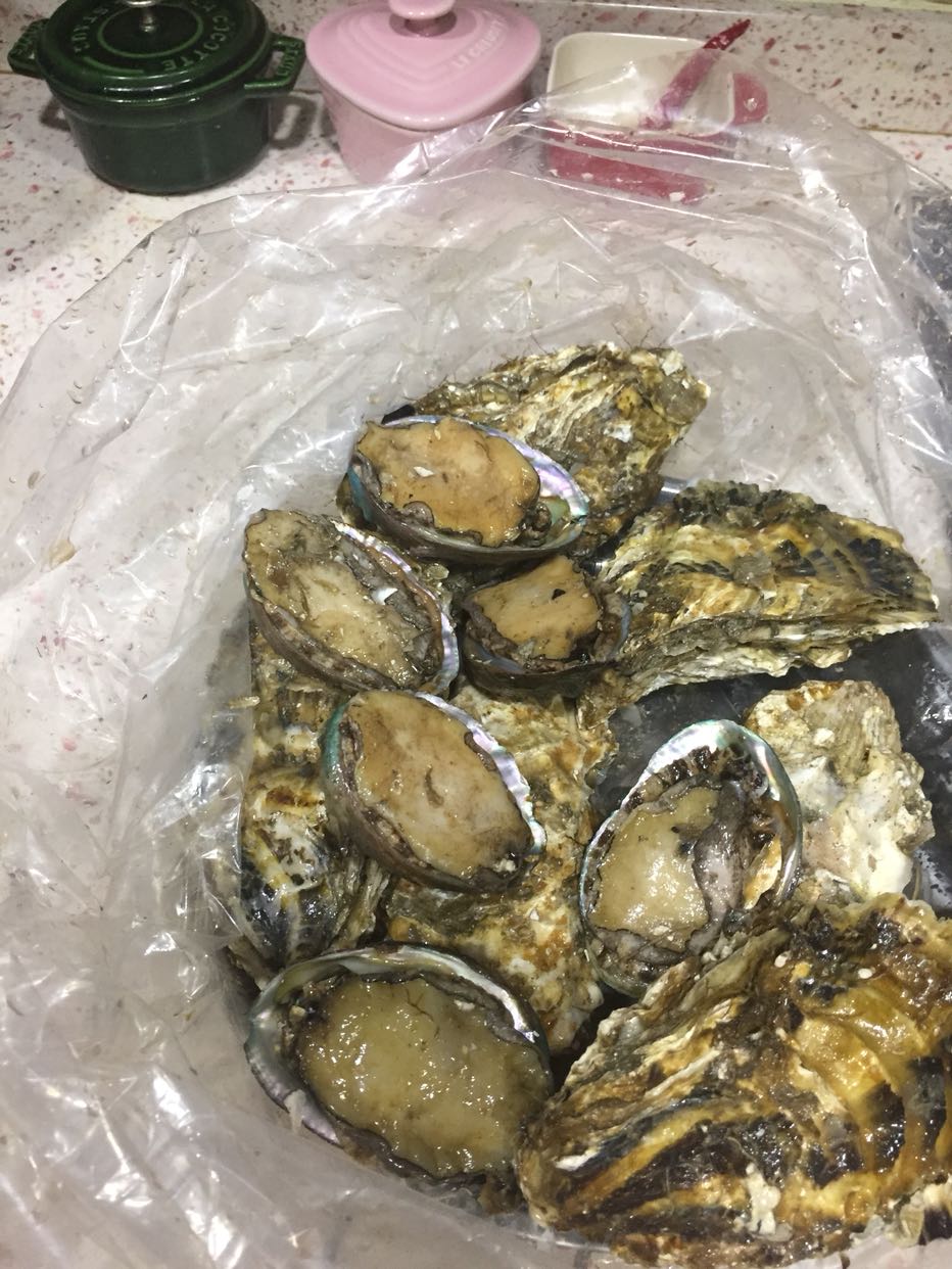 海洋岛 鲜活鲍鱼6只(300g) 生蚝6只(1000g) 约1300g大连海鲜鲜活水产