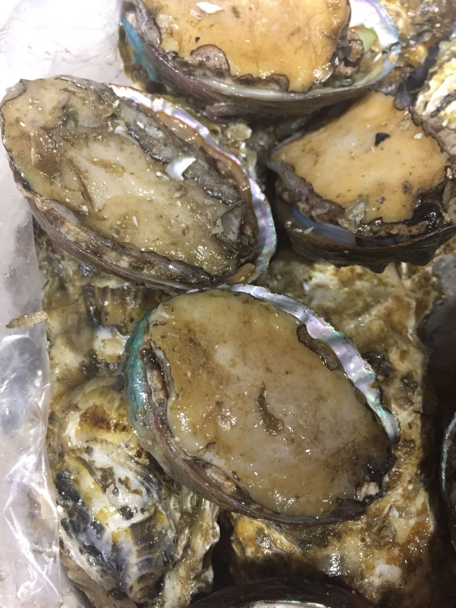 海洋岛 鲜活鲍鱼6只(300g) 生蚝6只(1000g) 约1300g大连海鲜鲜活水产