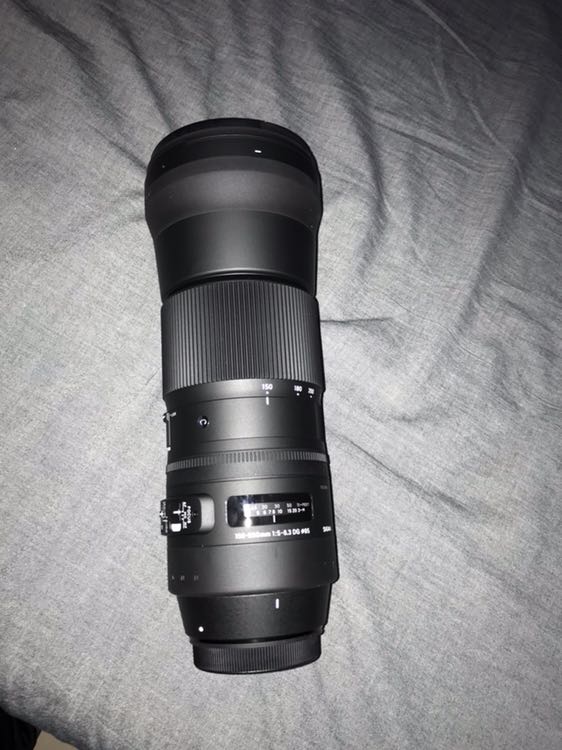 适马(sigma)150-600mm c版 tc1401增距镜 镜头套装 单反相机镜头 佳能