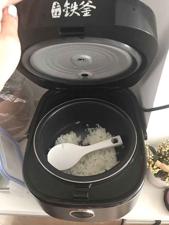 九阳铁釜电饭煲4l