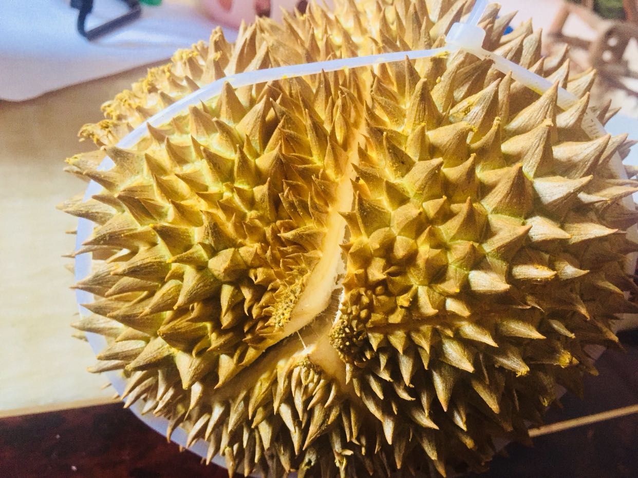 新鲜榴莲