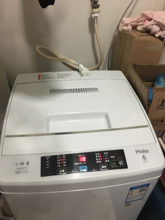 5公斤全自动波轮洗衣机 桶自洁 波轮 5.