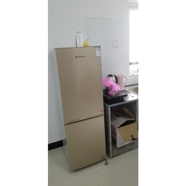 上菱(shangling bcd-183d(金)183升双门冰箱小型家用 优质压缩机静音