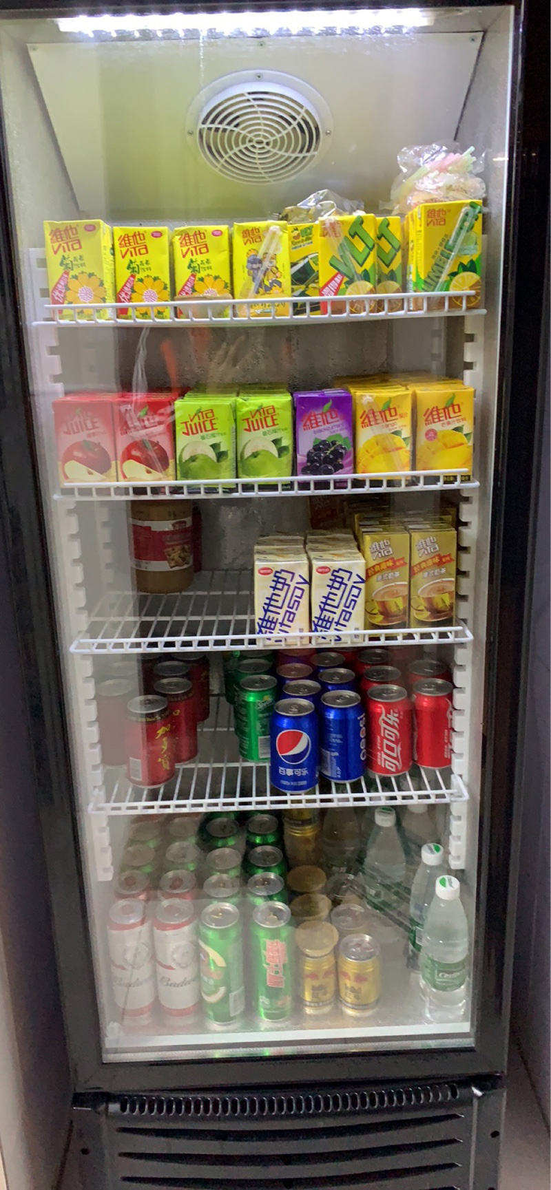 冷藏柜 直冷超市啤酒柜 单门冷饮料柜 冰柜冷冻柜 保鲜柜冰箱冰吧 侧