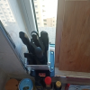 十八子作SL1503韵利7件套 全套厨房刀具不锈钢材质刀具套装厨房家用菜刀水果刀组合多用刀具菜刀剪刀很不错