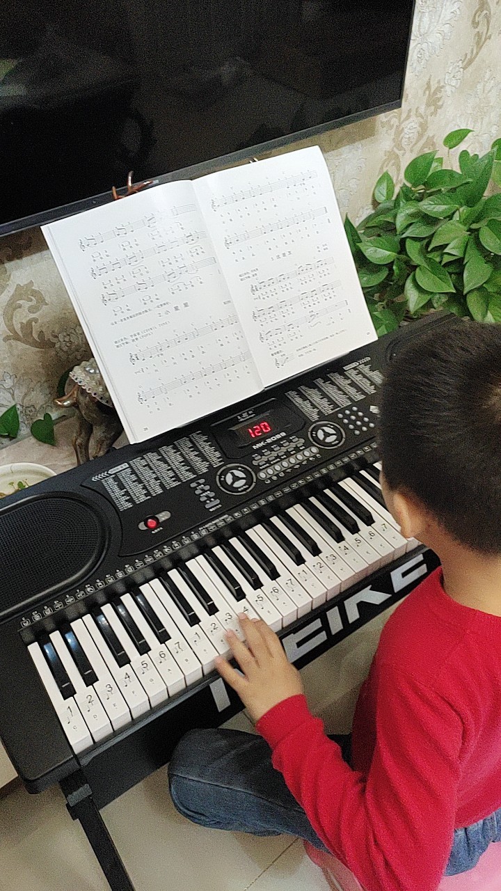 美科(meirkergr)智能教学电子琴61钢琴键多功能专业88成人儿童女孩