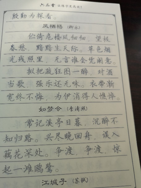 六品堂成人行书行楷书凹槽练字帖速成反复使用练字神器硬笔钢笔字帖