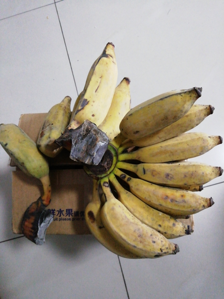 糯米蕉芭蕉农家自种县长代言天然水果生鲜云顶鲜锋 坏果包赔晒单图