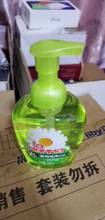 免水洗洗手液500ml