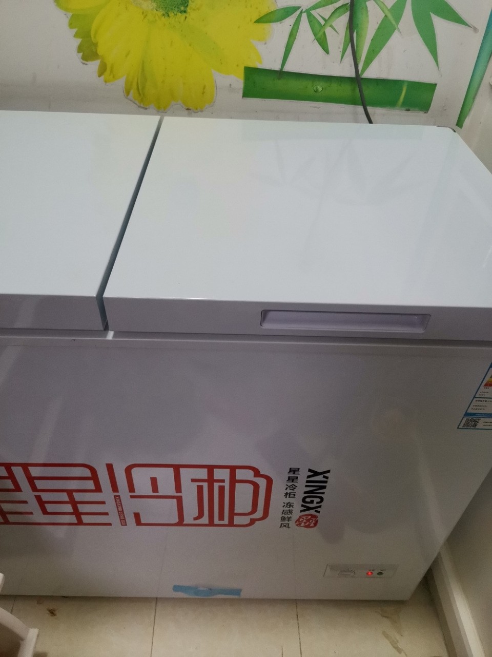 星星(xingx)bcd-232ga 230升 冰柜家用小型 卧式冷柜 微霜双温双箱