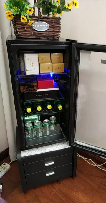 98升冷藏柜家用商务单门小型迷你电冰箱欧式冰吧酒柜冷柜饮料茶叶红酒