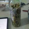买1送1 陌上花开菊花茶 胎菊正宗 王桐乡杭白菊 花草茶可配金银花东西很不错，最近有点上火，喝了