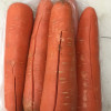 胡萝卜新鲜2.5斤 农家自种蔬菜现拔萝卜甜菜根 黄心生吃榨汁生鲜红萝卜晒单图