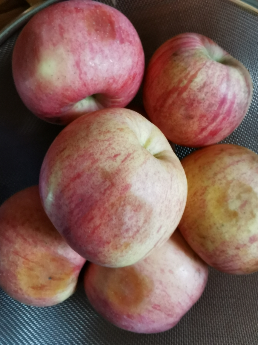 陕西洛川红富士苹果 10斤中果 单果75-80mm 新鲜水果 国产生鲜 其他