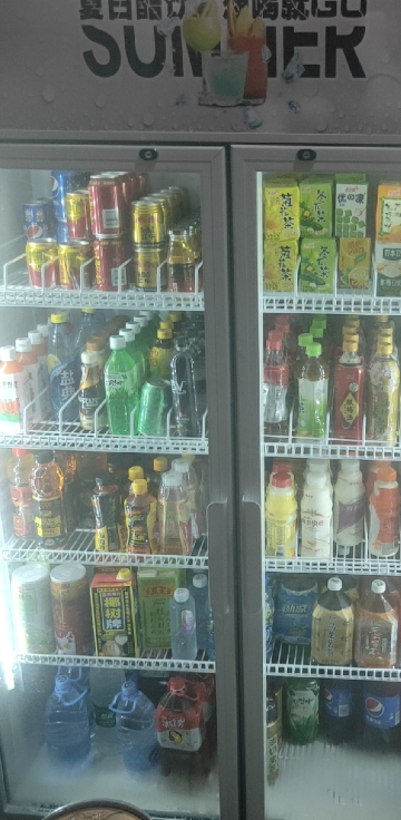 致烈(devole)800l饮料柜超市便利双门展示柜冷藏保鲜立式冰柜商用冰箱