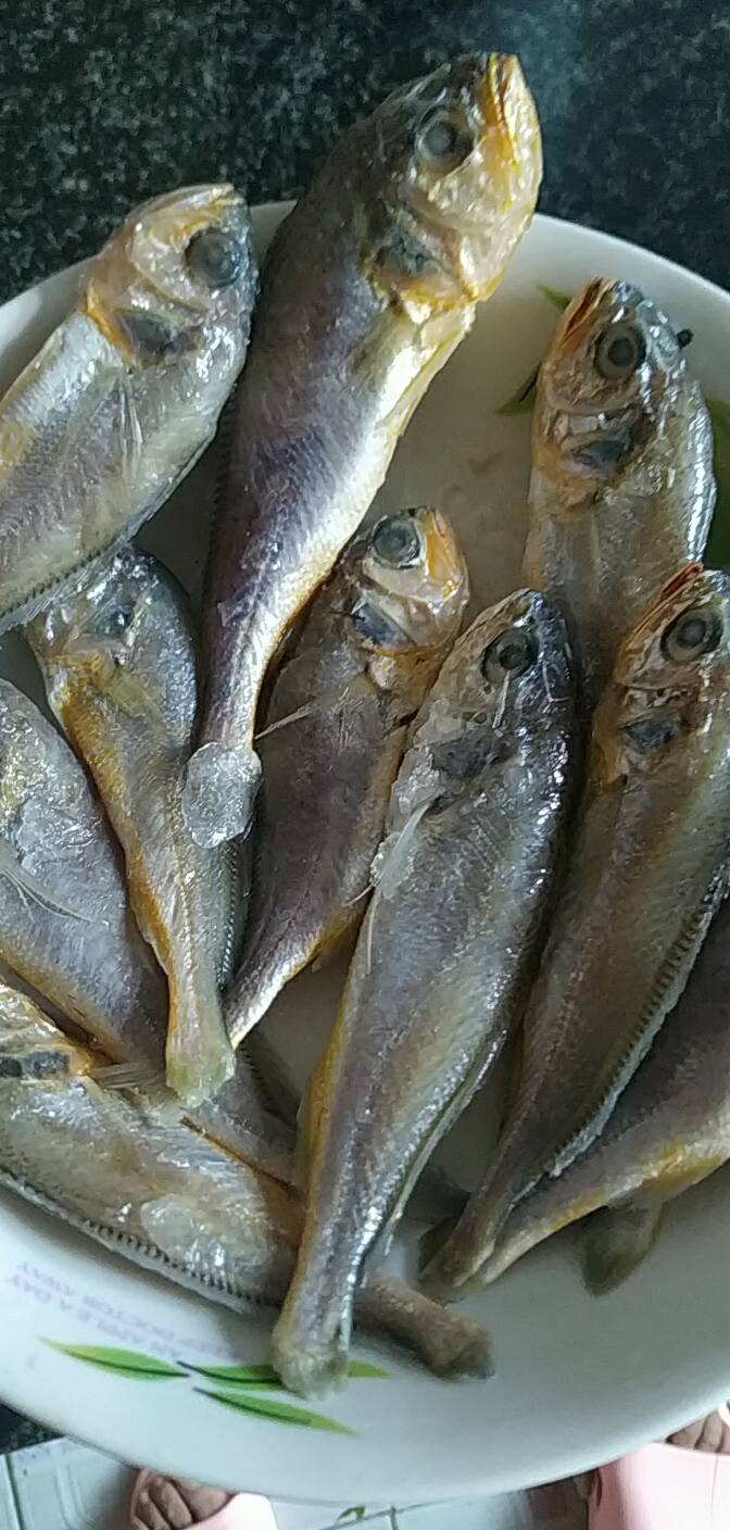 9元】顺丰直达 野生小黄鱼含冰 深海水产鲜活海鲜水产活鱼生鲜(净重3.