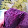 新鲜农家紫薯 3斤 地瓜番薯山芋 新鲜蔬菜 陈小四水果晒单图