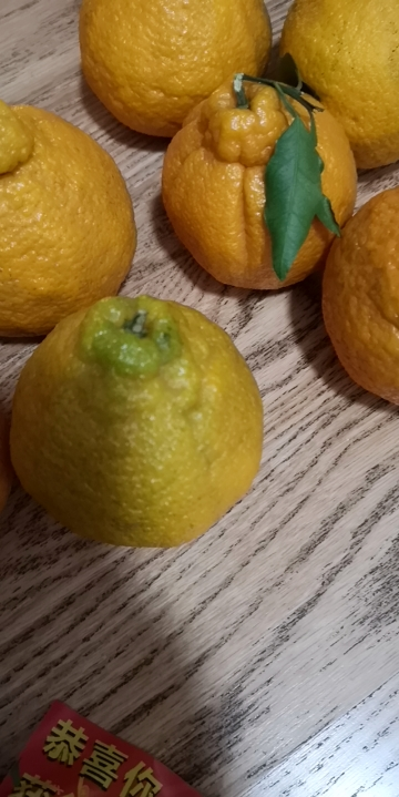 鲜菓篮 丑橘不知火中大果5斤装 正宗四川丑橘 橘子柑橘 拍2件合发净重