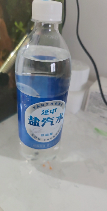 盐汽水