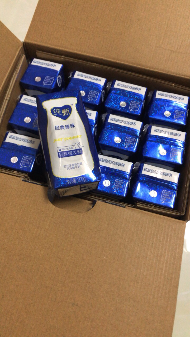 【2月产】蒙牛纯甄酸奶200g*24盒整箱牛奶风味酸牛奶早餐奶发酵菌原味