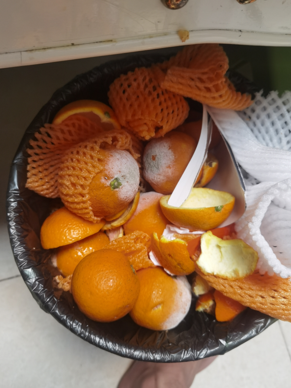 中华红肉血橙 5斤装 单果径60-65mm 时令生鲜水果橙子坏果包赔晒单图